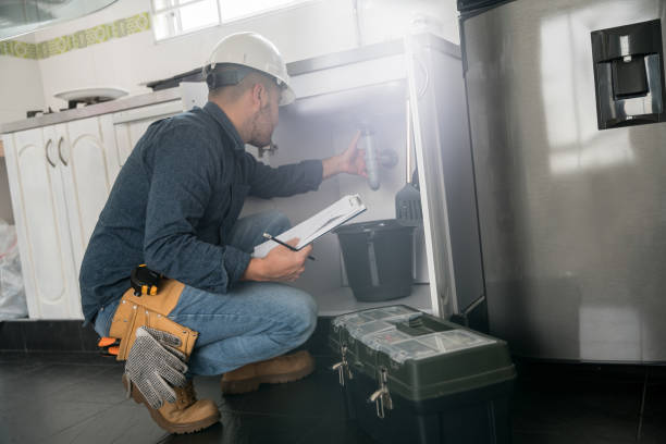 Best Plumbing Inspection Services  in Ray City, GA