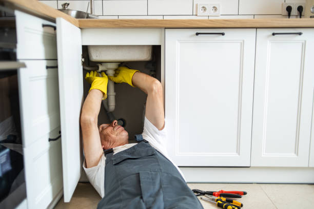 Best Local Plumber Services  in Ray City, GA